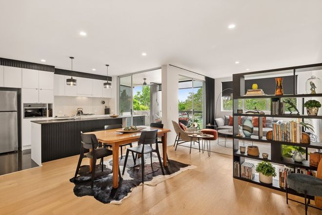 Bulimba property 5
