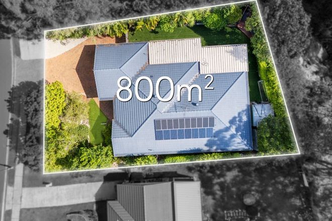 Springfield property 3