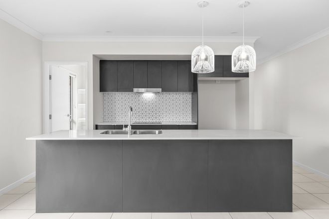 Springfield property 6